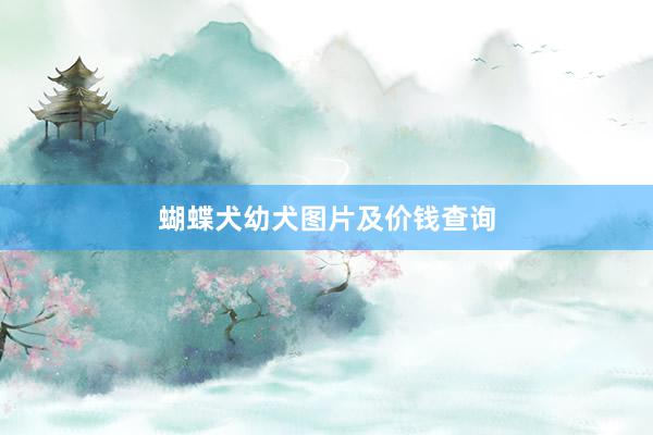 蝴蝶犬幼犬图片及价钱查询