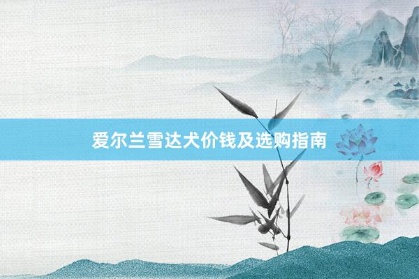 爱尔兰雪达犬价钱及选购指南