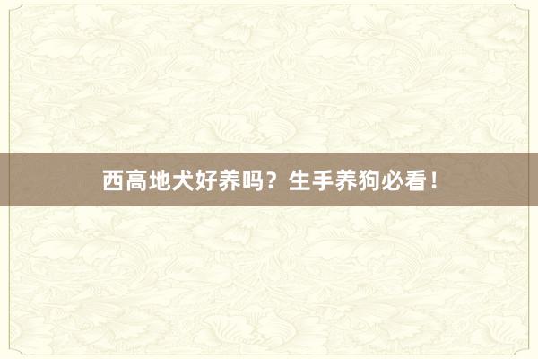 西高地犬好养吗？生手养狗必看！