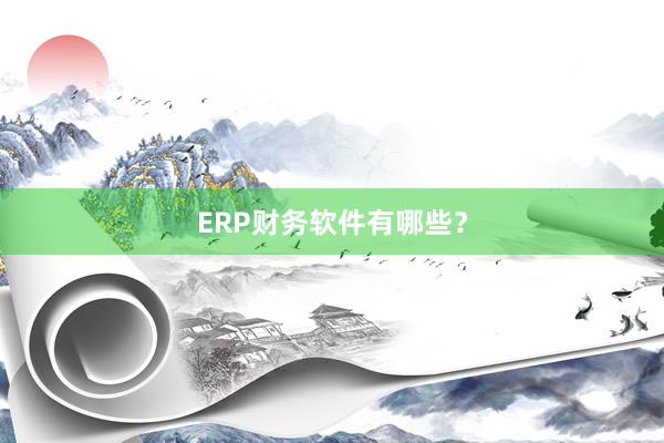 ERP财务软件有哪些？